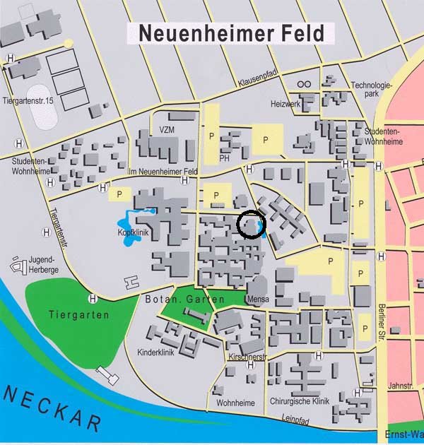 Lageplan fr Im Neuenheimer Feld 308
